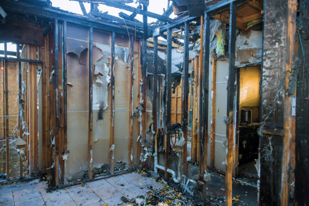 Professional Smoke Damage Removal technician working in Springfield, FL