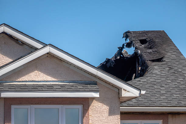 Top rated local Smoke Damage Removal specialists in Springfield, FL